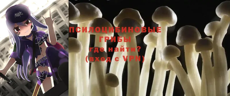 Псилоцибиновые грибы Magic Shrooms  Велиж 