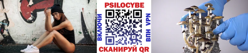 Галлюциногенные грибы прущие грибы  Велиж 